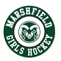 MHS Girls Hockey Net(@mhsgirlshockey4) 's Twitter Profile Photo