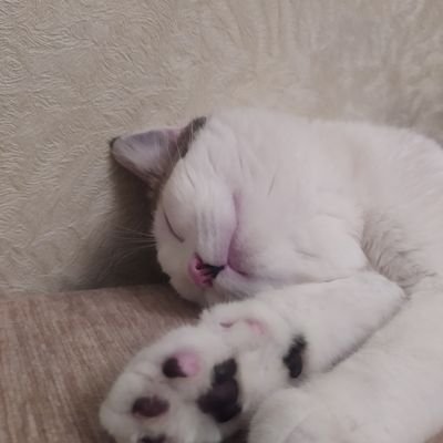 x0PGNdEzYch4wn0's profile picture. 