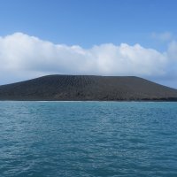 Hunga Tonga - Hunga Ha’apai (@hungatonga) 's Twitter Profile