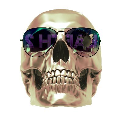 Earth 2 NFTs, We make designs and logos and things for people to use however they see fit Huge into #NFT #NFTCOMMUNITY let me make you a kick ass skull today