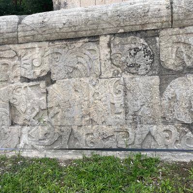 Nelisiwe70's profile picture. 