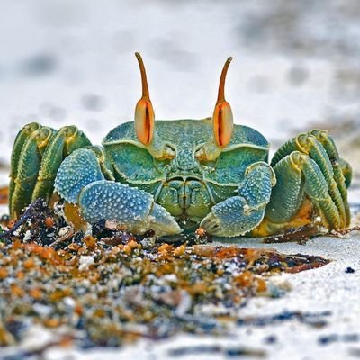 innvicutas's profile picture. 🤣🍆🍌🥜🥒🌶️🥭🍓🍒🍑🥑🥥🐎🦄🦓🦥🤤🤑💯💣🦸‍♂️🎥🎬📌💊🩸🚬♀️♂️♻️🔱😁🍁❌