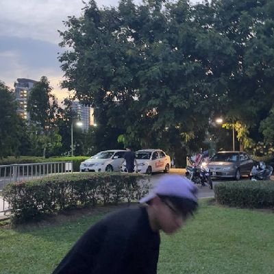 harezkyol's profile picture. whynot