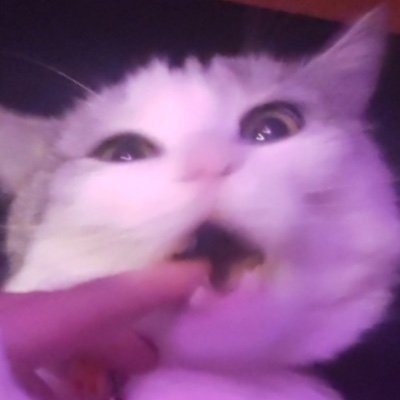 DianaKolpakova4's profile picture. 