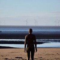 Jim (@lime_musings) 's Twitter Profile