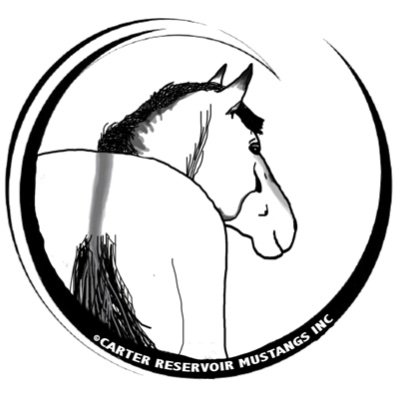 CarterMustangs's profile picture. Mission: To provide effective means for conserving the wild Carter Reservoir Spanish-Iberian Mustangs for generations to come.