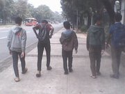 _saepullukman's profile picture. Software Engineer