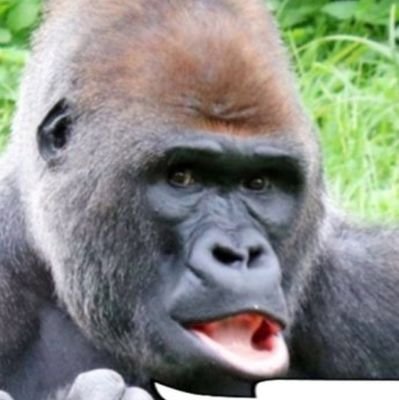 98O3NXjrolMpKFU's profile picture. 大阪在住 
月1～2回マイペースにメンエス通ってます🤣