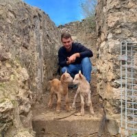 Gisbertjosep (@josepgisbertg) 's Twitter Profile
