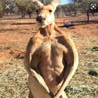 Hasunelo💓 (@hasuni113) 's Twitter Profile