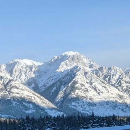 VRollinsville's profile picture. My son and I enjoy soccer and skiing