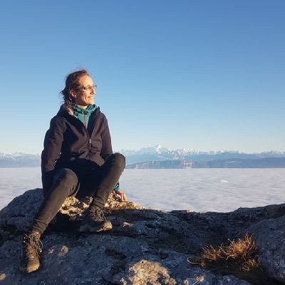 Computational Scientist at HI-STEM / DKFZ
Heterogeneity in cancer | Computational Biomedicine
