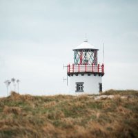 thewildatlantictraveller (@wildatraveller) 's Twitter Profile