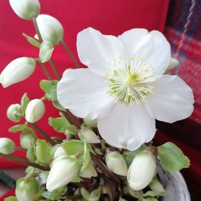Kunterbuntesuntes aus dem Leben | 🌻 | Fotos knipsen gerade wie's mir gefällt!
