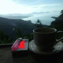 kkomang89's profile picture. Holder Always Win