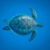cjegat φ 🐢 (@cjegat1) Twitter profile photo cjegat φ 🐢 (@cjegat1) Twitter profile photo