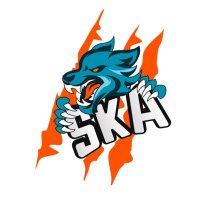 SNKRSKILLER_Acc (@snkrskiller_acc) 's Twitter Profile