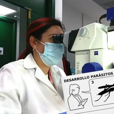 PhD student in the Biological Station of Doñana. #Parasites #vectorbornediseases #Culexpipiens #avianmalaria #westnilevirus