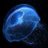 Akira08092's profile image
