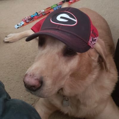 Go dawgs every other ga team is mid