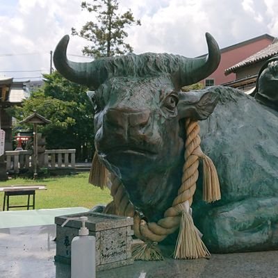 daigakuimo8's profile picture. 大船の書店で働いてます。