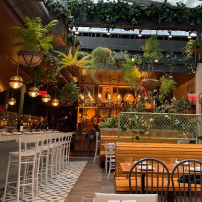 KiranmayeeNema1's profile picture. 🪴💚