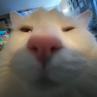 Larsy Warsyさんのプロフィール画像