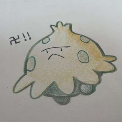 きのここさんのプロフィール画像