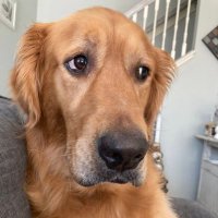 @wormer32250 (@wormer32250) 's Twitter Profile Photo @wormer32250 (@wormer32250) 's Twitter Profile Photo