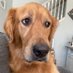 @wormer32250 (@wormer32250) Twitter profile photo