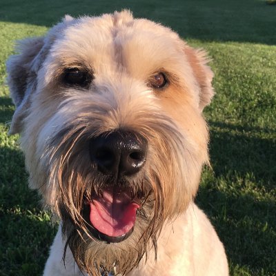 TimFran76826876's profile picture. 