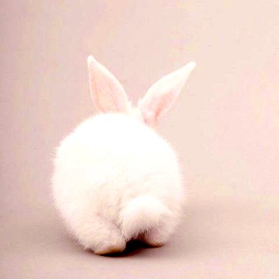 TORI_design26's profile picture. 2022.1〜webデザインの勉強を始めました!1つずつ知っていくのが楽しいです♡自分の力で生きるスキル身につけるぞーー!