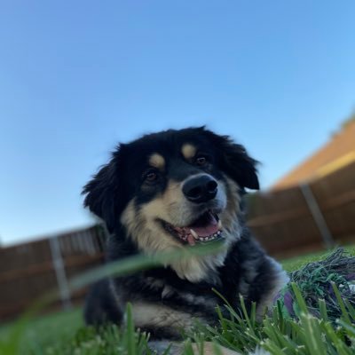 JHimmelsehr's profile picture. hello!