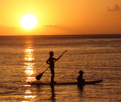 afechser's profile picture. 