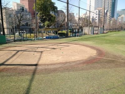 墨田区錦糸公園野球場メインに試合形式練習・紅白戦を開催しています。野球サークルにご参加下さい。女性、初心者の方でも大丈夫です。野球練習会。