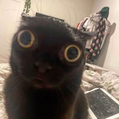 tiyangqt's profile picture. 