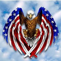 Lou Pailer 🇺🇲 (@lpailer) 's Twitter Profile