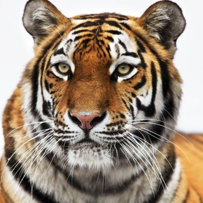 KennyPerezVega's profile picture. 💯pre🎶🎼🌊😈 con eso soy feliz