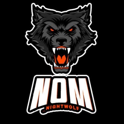 hey everyone im chase aka NOM_nightwolf im a streamer im 22 and i love to play games and try to make people laugh