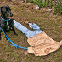 Chuck Peters - @MisterSoCal - Twitter