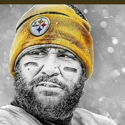 Love my Steelers! Steeler Nation Stand up!