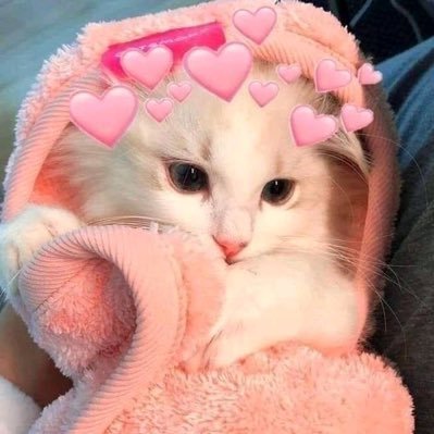 aysied_ca's profile picture. Be kind!