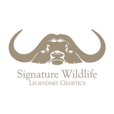 Wildlife breeders & custodians of legendary genetics. Buffalo Kloof, , Kwandwe Signature Wildlife, Piet du Toit Wildbedryf & Tam Game Breeders.