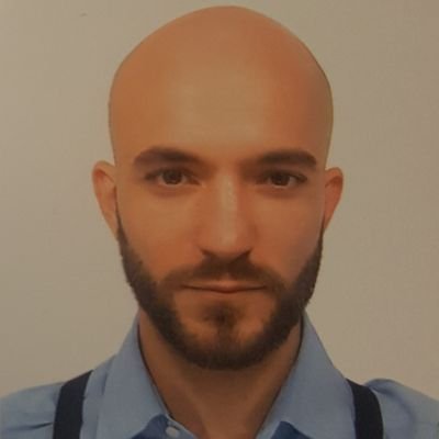 Theoretical physicist, Postdoc at the Lorentz Institute of Leiden University in the soft matter group of Luca Giomi