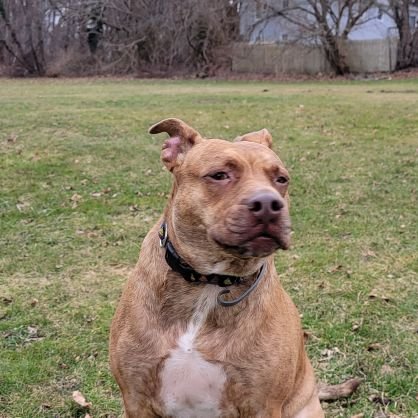 murlslamps's profile picture. Nah