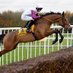 Horse racing chat and tips (@flatandnhracing) Twitter profile photo Horse racing chat and tips (@flatandnhracing) Twitter profile photo