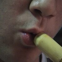 Maria Salicrú-Maltas (@__sali_) 's Twitter Profile