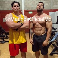 ᴰᵃᵛ!ᵈ (@machosoficialmx) 's Twitter Profile
