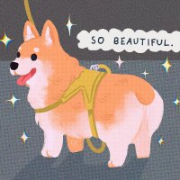 Blinder.eth (@bkind3r) 's Twitter Profile