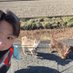 るいるい (@ruirui_210) Twitter profile photo